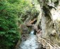 sigmundthun11_11